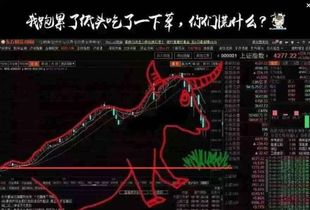 暴雪公司如何估值股票 暴雪公司如何估值股票