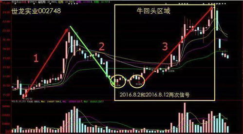 中国明年股票行情如何