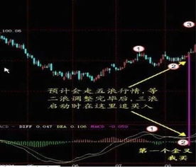 股票macd如何运用