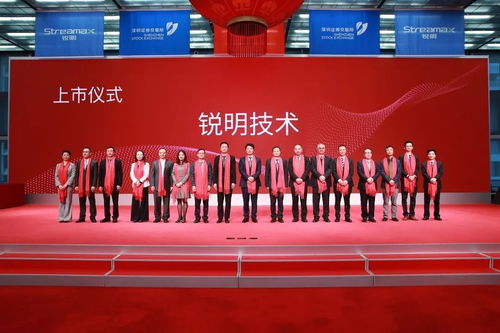 证券律师团队介绍怎么写