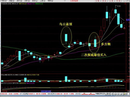 中新股票投资价值如何 中新股票投资价值如何