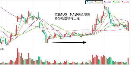 如何知道股票的实际股东