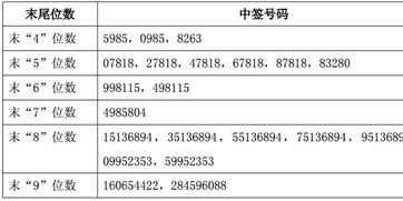 证券怎么摇号买卖