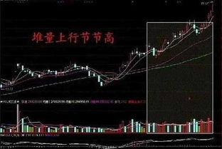 如何挖掘股票