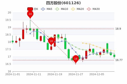公司如何分股票