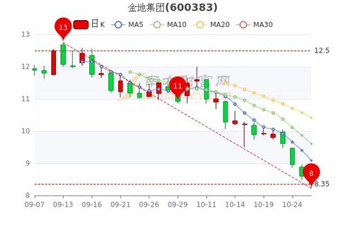 公司如何分股票