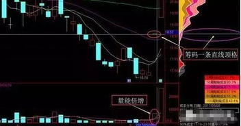 如何找到顶格筹码股票