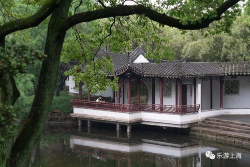 恒泰证券怎么调出五档