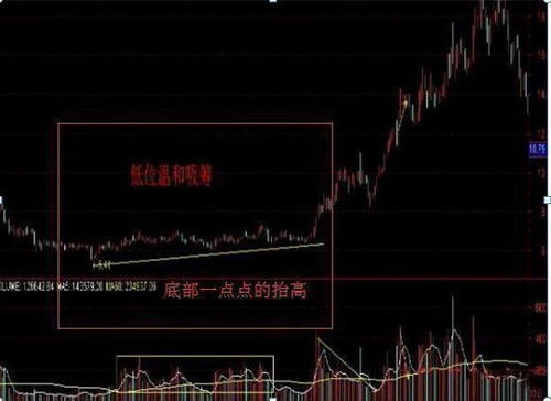 如何看主力是否持有股票