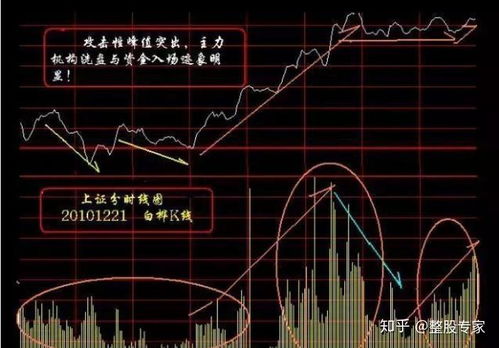 如何查看股票主力净流入