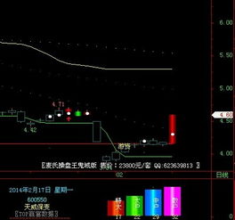 如何查20元以下的股票