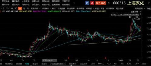 如何看待上海股票