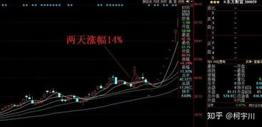 如何选版块里的龙头股票