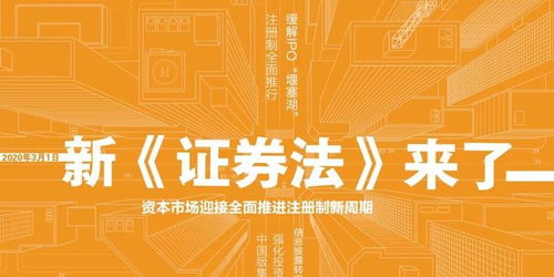 证券法怎么体现效率
