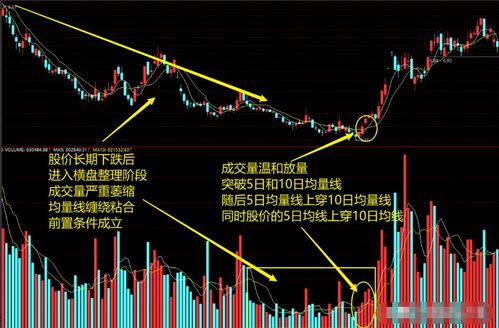 如何抓住两百只股票走势