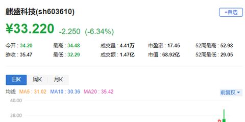 如何翻译股票