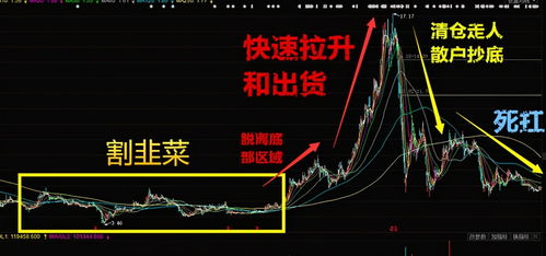 如何看待股票坐庄问题 如何看待股票坐庄问题
