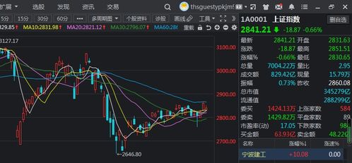 大康农业这次股票如何