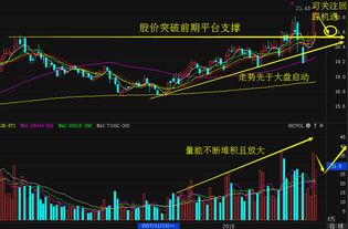 该如何选择个股股票