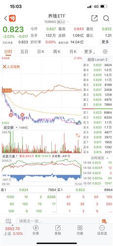 如何忘掉股票成本问题
