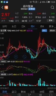 股票今天如何操作