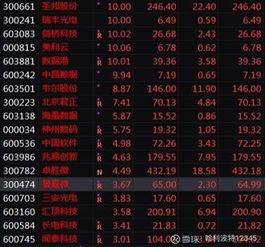 如何找低板股票代码