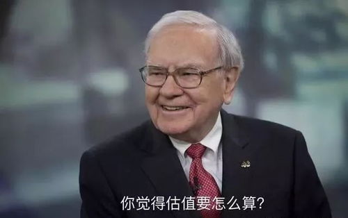 巴菲特如何对股票估值
