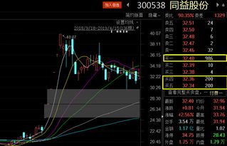 股票如何查询庄家