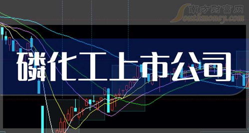 如何做上市公司龙头股票 如何做上市公司龙头股票