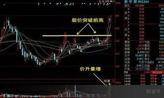 如何避免股票追涨跌停