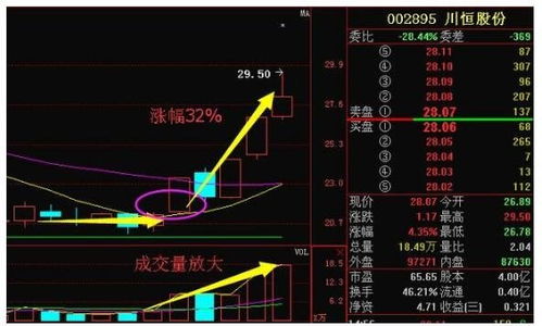 龙头股票如何选股市