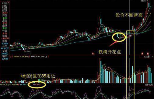股票如何放大