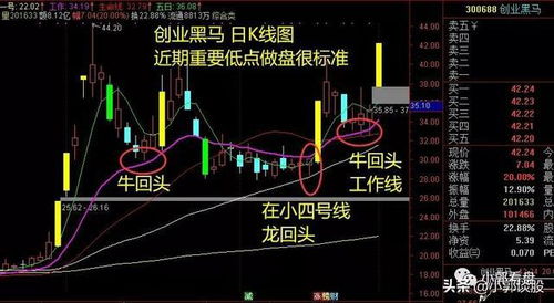 如何选活跃个股股票
