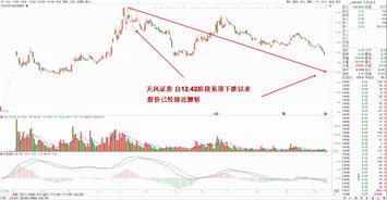 证券跌停怎么算