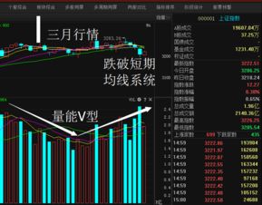 股票如何找回资金