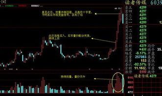 如何看 股票盘口 如何看 股票盘口