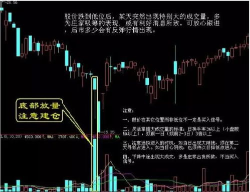 持有股票如何看收益情况 持有股票如何看收益情况
