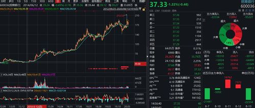 持有股票如何看收益情况 持有股票如何看收益情况