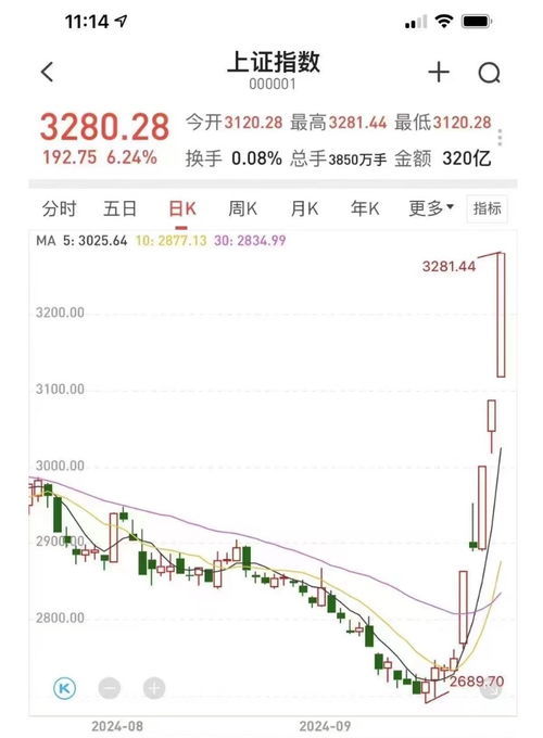 持有上交所股票如何融资