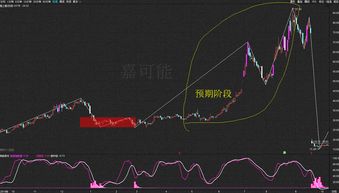 股票配股如何交易 股票配股如何交易