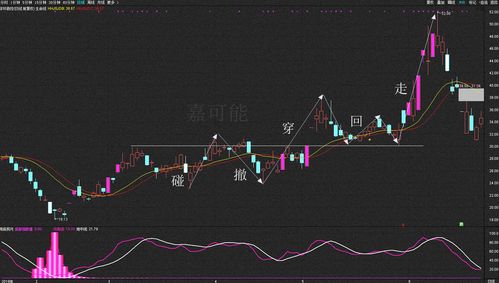 科技股票反抽行情如何 科技股票反抽行情如何