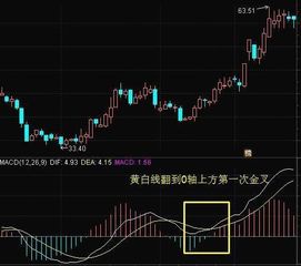 散户高手如何交易股票