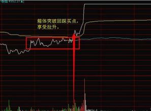 散户高手如何交易股票