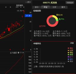 公司停牌后股票如何操作