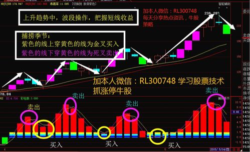 如何看股票主力资金是谁 如何看股票主力资金是谁