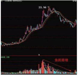 如何看懂股票是不是庄股 如何看懂股票是不是庄股