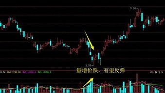 如何看股票的交易量