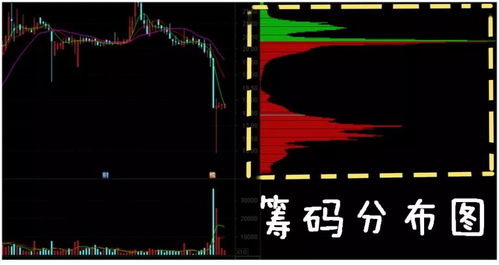 如何看懂股票主力筹码
