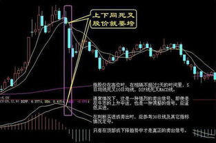 如何形容股票涨到最高点 如何形容股票涨到最高点