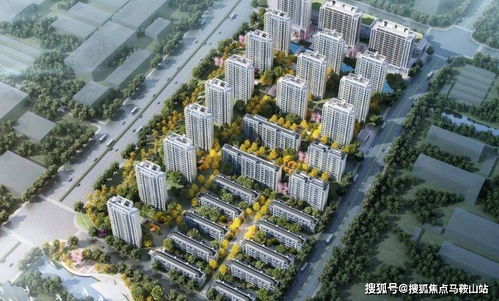 证券项目面试陈述怎么写